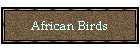 African Birds