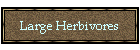 Large Herbivores