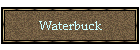 Waterbuck